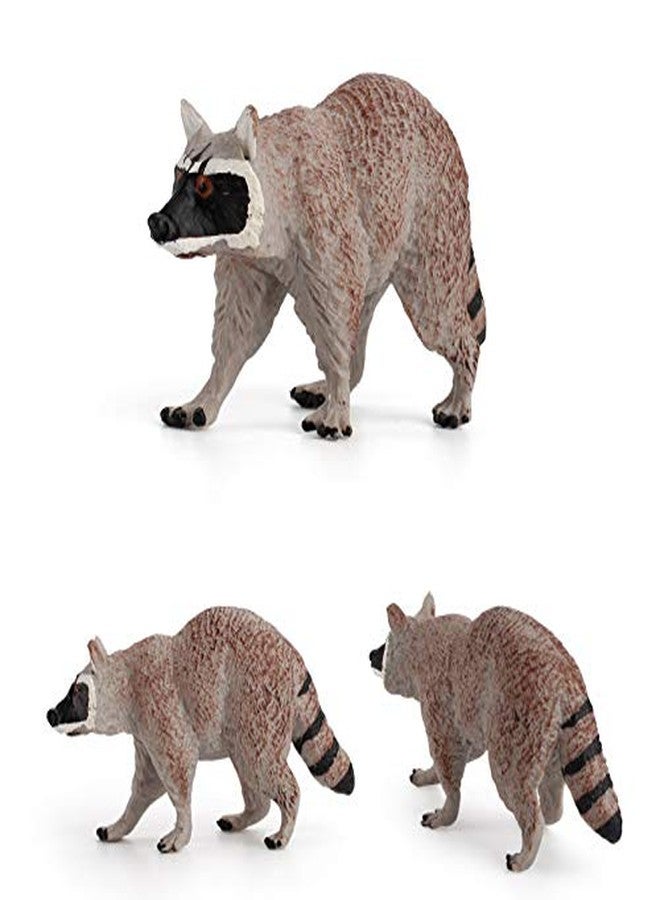 Rich Boxer 3 PCS Realistic Mini Raccoon Figurine Wild Animal Figures for Party Diorama Supplies Cake Toppers Science Collection Desktop Decoration - Image 3